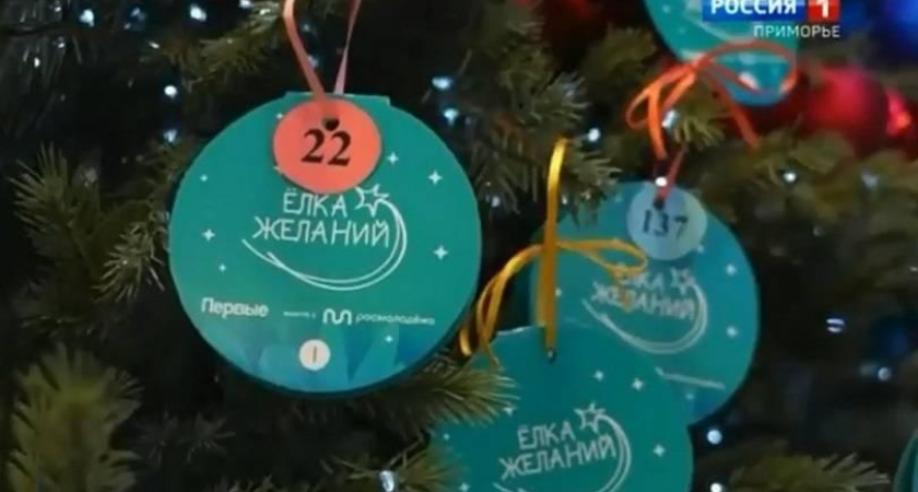 Во Владивостоке запустили «Елку желаний»: чиновники исполняют мечты детей