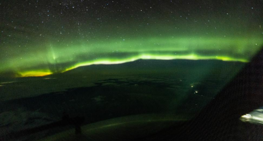 «Крабовый король» Кан обжалует 24 года колонии за контрабанду на 2,6 млрд