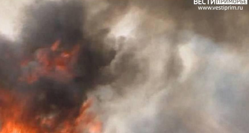 Мощный пожар у Владивостока оказался учебной тренировкой аэропорта