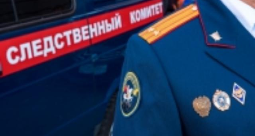 Бастрыкин взялся за дело 18-летнего таксиста, избившего пассажира во Владивостоке