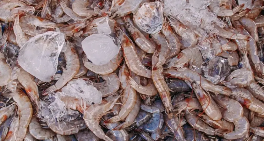 Дальний Восток экспортировал 30,7 тысячи тонн рыбы за неделю