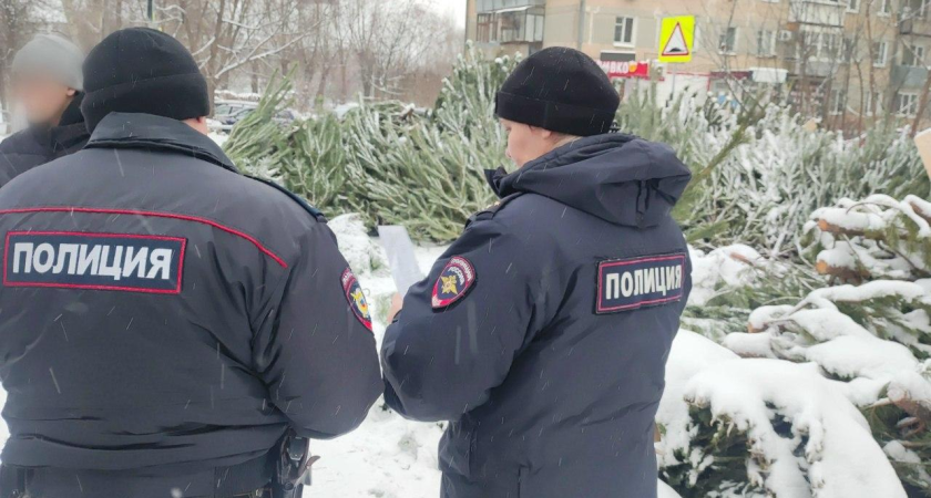 160 елок конфискованы: вахрушевскую предпринимательницу оштрафили за черный бизнес