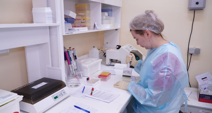 2,4 тысячи тонн соевого жмыха из Приморья не прошли проверку качества