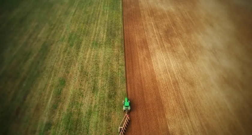 Приморские аграрии собрали урожай кукурузы на 44% больше прошлого года