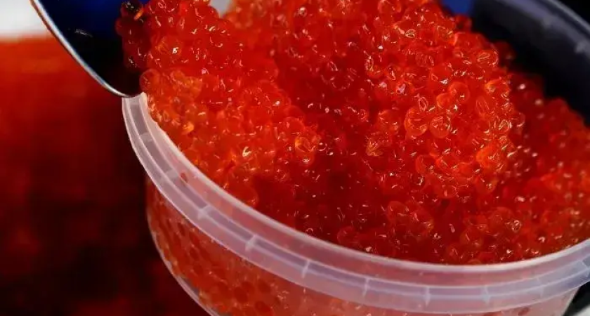 В Приморье забраковали 160 тонн икры из-за кишечной палочки и бактерий