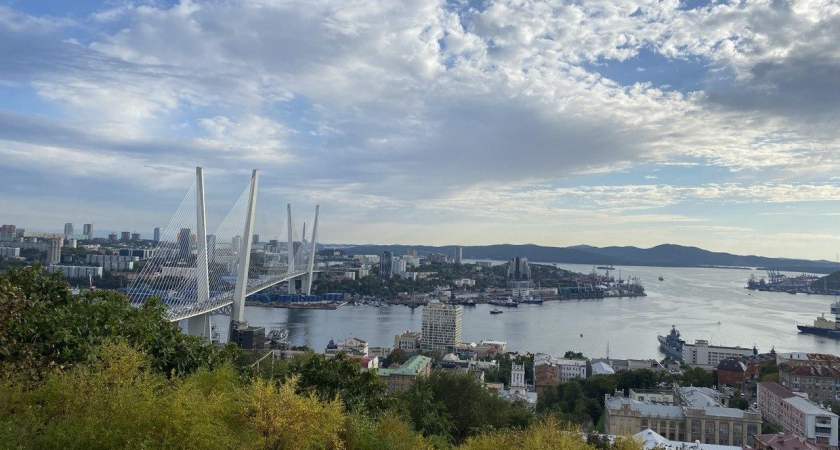 Владивосток заработал ₽166 млн на вырубке: 800 разрешений за год