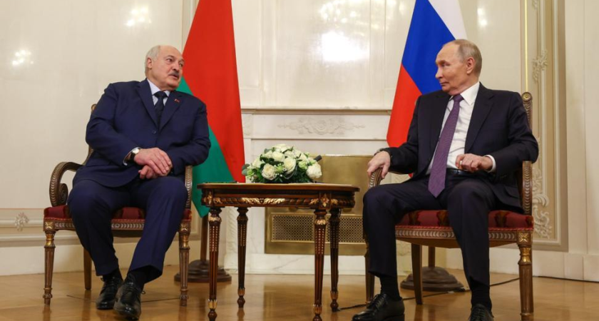 Сахалинец заплатит 36 млн рублей за контрабанду морского ежа