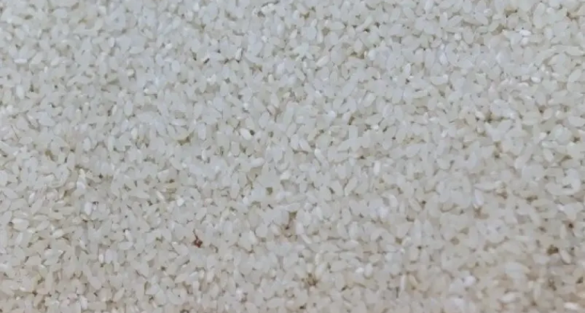 Приморский рис получил шанс: Россия открывает экспорт 200 тысяч тонн после трёхлетнего запрета