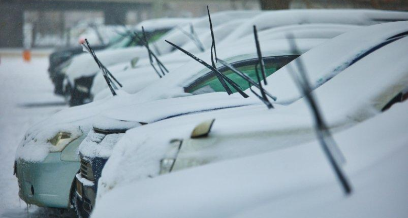 Владивосток засыпает снегом на сутки: 5-сантиметровый покров парализует большегрузы