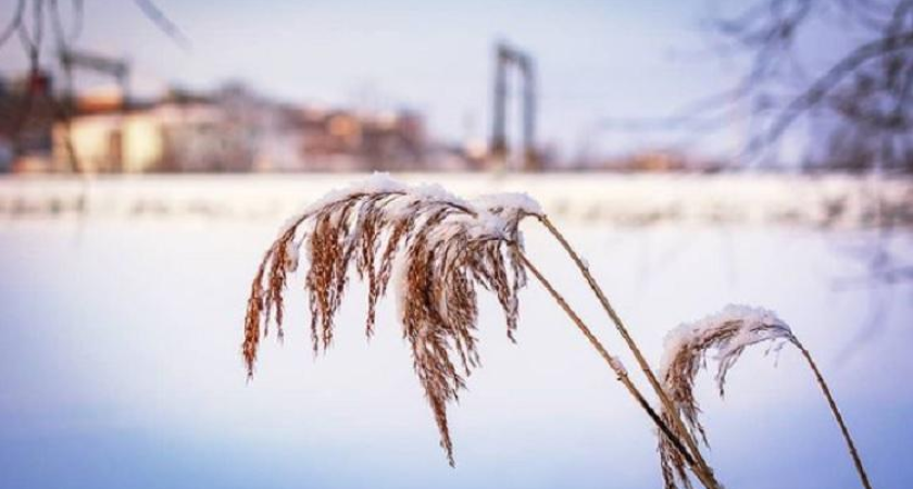 Циклон уходит: осадки во Владивостоке прекратятся ночью, но придёт холод