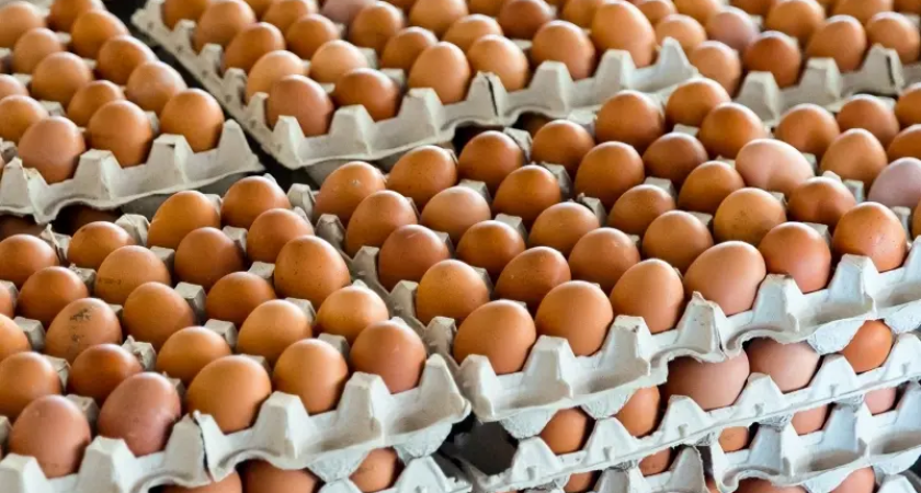 Инфляция в Приморье обогнала страну: яйца подскочили на 7,3%