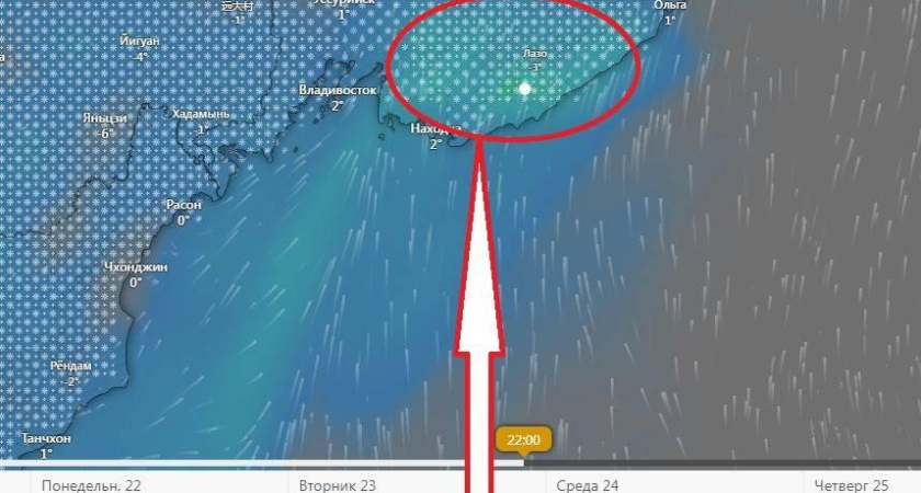 В Приморье обрушится снегопад: до 30 см снега за сутки