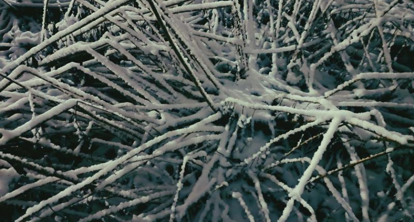 В Приморье грядут морозы до −39°: когда ждать сильнейшего похолодания