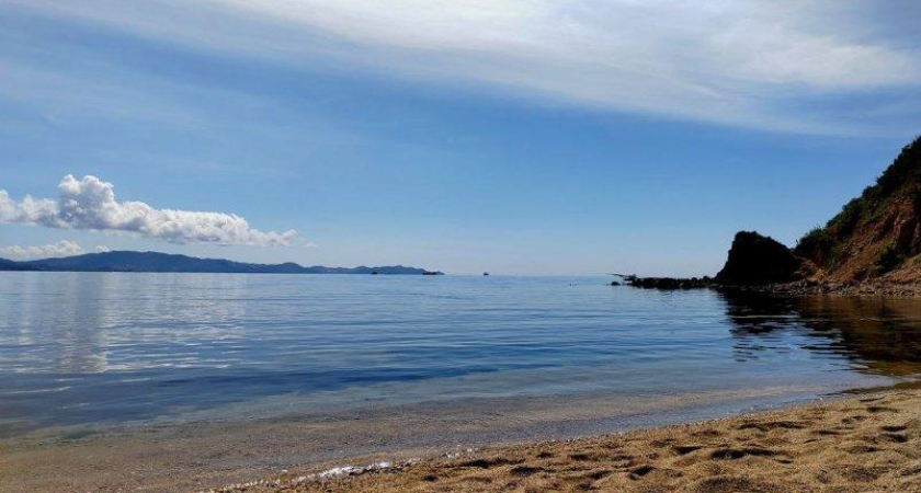 Министра Приморья оштрафовали за игнорирование сброса грязных вод