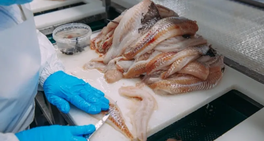 Листерии в деликатесе: партию сельди «Матье» изъяли из магазинов Приморья