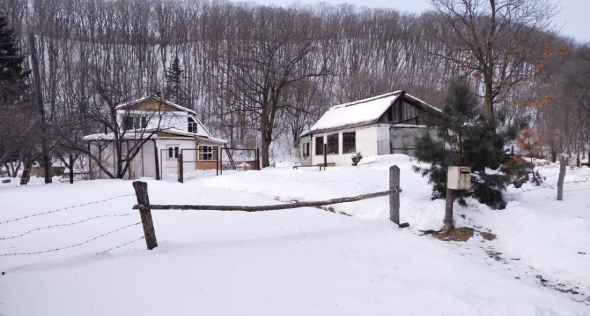 Липовцы без транспорта: Следком проверит халатность властей Приморья