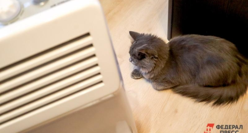 Неделю при +15°C: в Находке 7000 человек мёрзнут из-за аварии большегруза