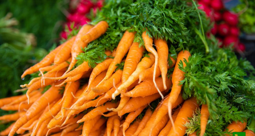 Ярмарки свежих продуктов откроются в трех районах Владивостока в выходные