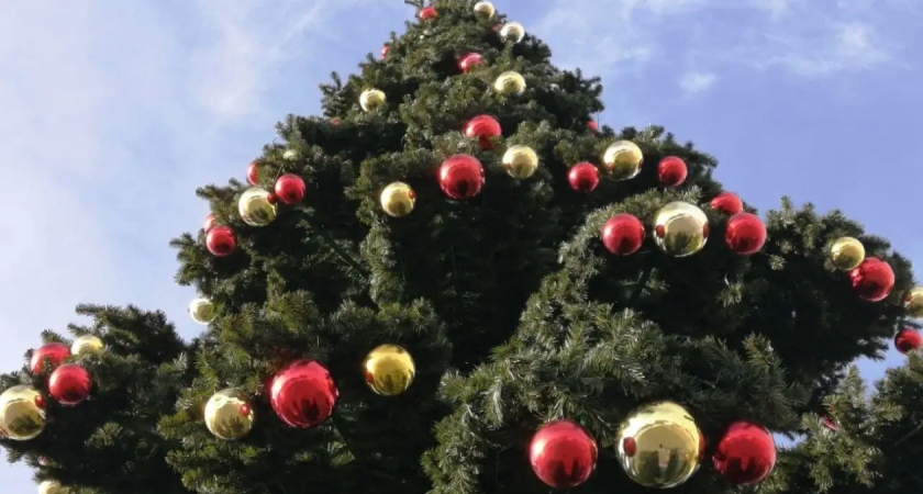 Четверо похитителей шаров с ёлки Партизанска задержаны за ущерб в 29 тысяч