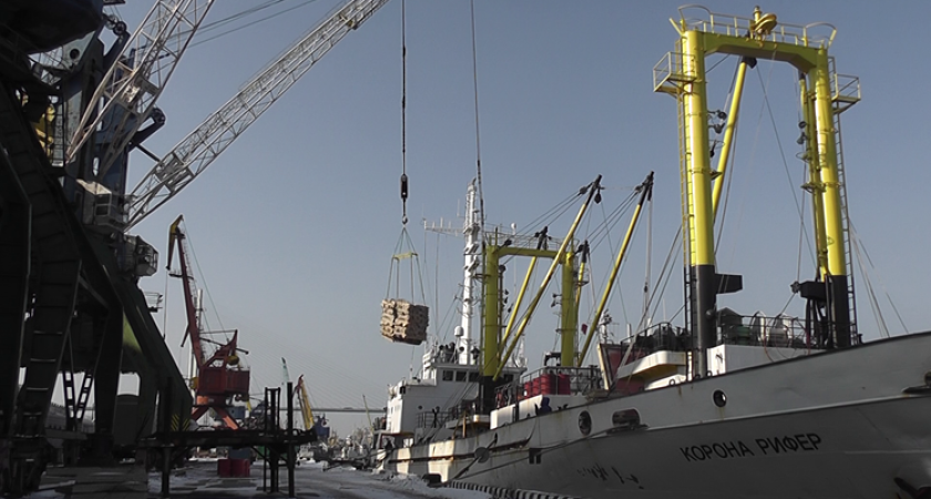 Приморье переработало 439 тысяч тонн рыбы за 11 месяцев 2025 года