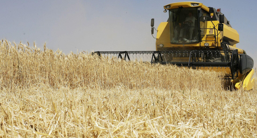 Россия установила квоты на вывоз зерна из трех регионов до 2026 года