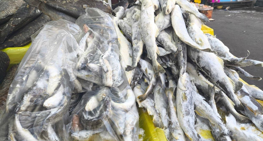 Навага подорожала до 160 рублей: во Владивостоке разгар рыбного сезона без уловов