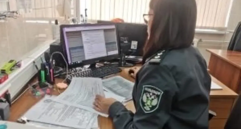 На таможне Владивостока задержали 12 тонн китайского корма из-за подделки документов