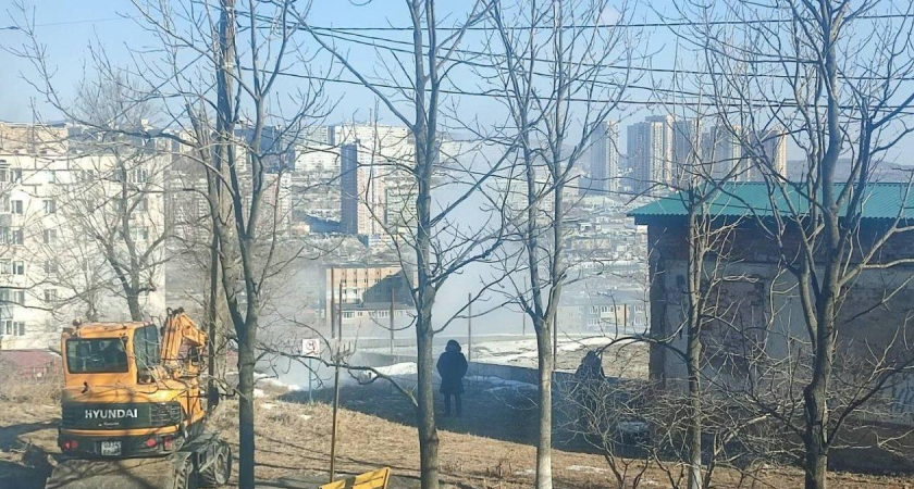 «Кипяток убивает наших черепах»: прорыв трубы в районе Часовитина превратил популярное озеро во Владивостоке в опасную зону