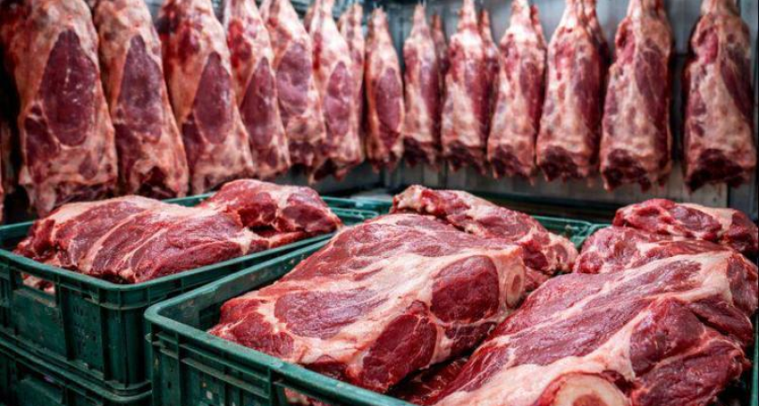 Первая опасность 2026 года: в мясе буйвола из Приморья нашли запрещенный антибиотик в высокой концентрации