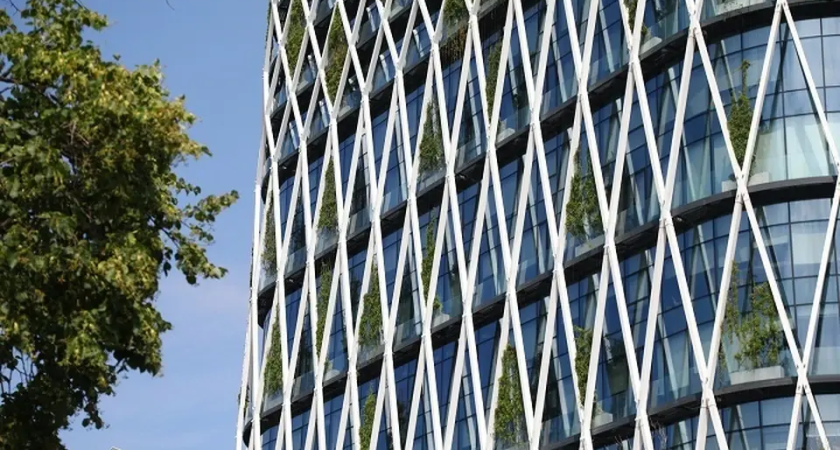 736 миллионов из тени: как в Приморье легализовали 40 тысяч нелегальных работников