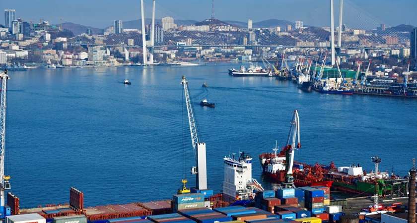 Приморские рыбные причалы: 483,8 тыс. тонн улова и падение перевалки на 1,6% в 2025 году