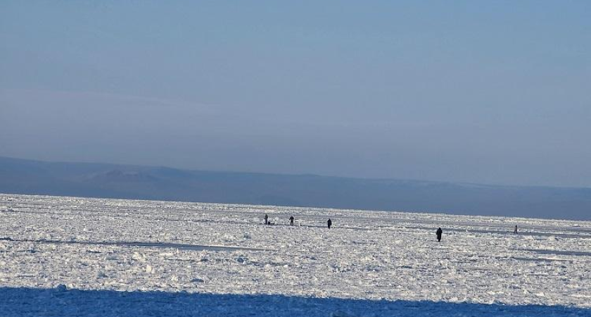 Штраф до 4000 рублей: спасатели Владивостока начали рейды против рыбаков на тонком льду