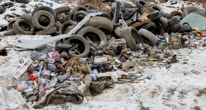 Роспотребнадзор проверяет воздух на токсины у жилых домов после 1000-метрового пожара на свалке Уссурийска