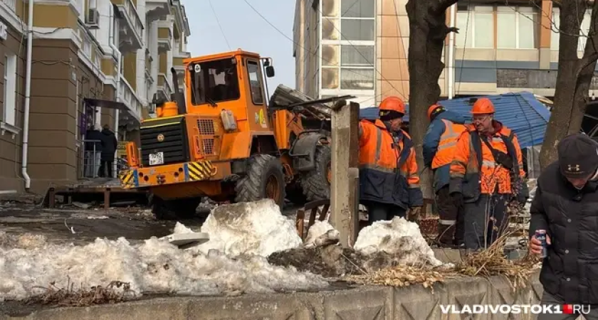«Тяжелая техника против шаурмы»: экскаваторы сносят нелегальный «Донер Кебаб» и цветочный магазин на Луговой