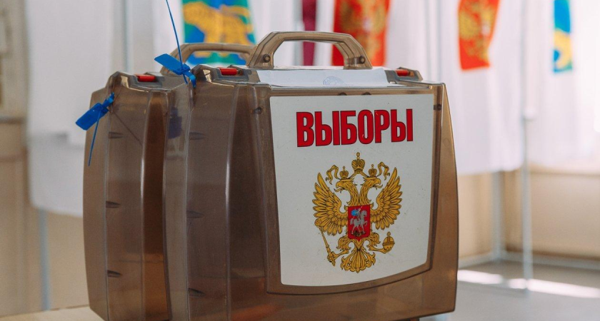 Крупные выборы вытеснили муниципальные: в Приморье отменили все основные местные кампании 2024 года