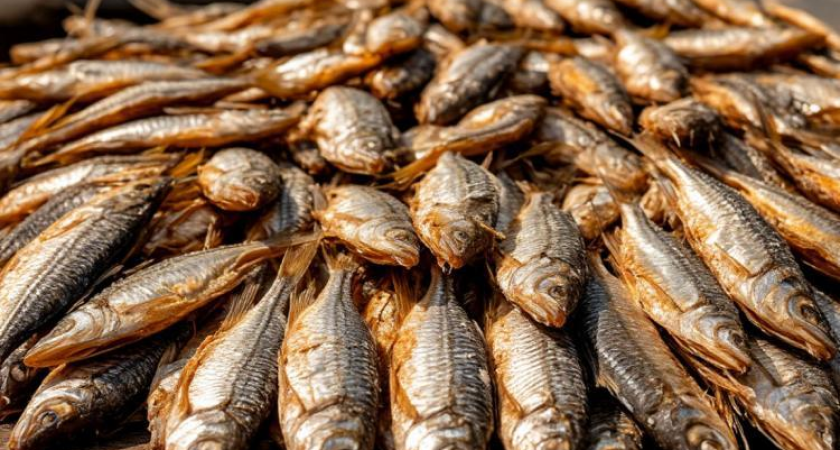 23 тонны вьетнамского тунца и анчоусов застряли во Владивостоке из-за ошибки в документах