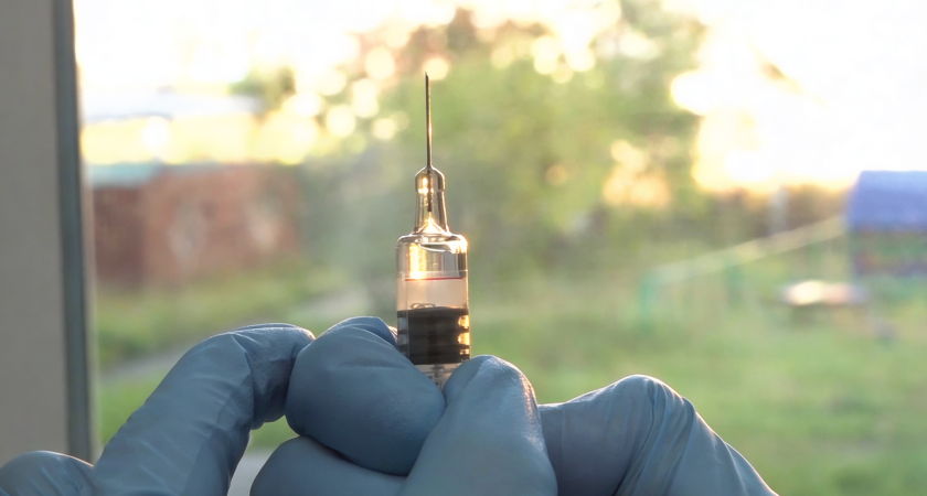 «С 4 лет обязательно»: врач раскрыла правила вакцинации детей от смертельного клещевого энцефалита