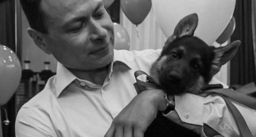 «Взял на себя удары судьбы»: немецкая овчарка экс-мэра Владивостока ушла из жизни в 7 лет