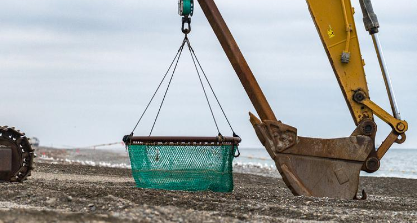 Рекордный скачок: 29,4 тысячи тонн рыбы с Дальнего Востока ушли на экспорт за одну неделю