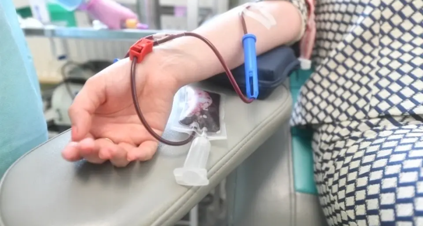 13 тысяч литров жизни: как доноры Приморья спасли почти 5000 пациентов в крупнейшей больнице края