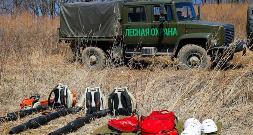 Первый лесной пожар 2026 года: 2 га леса сгорело в Приморье из-за нарушения правил безопасности