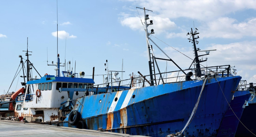 Прокуратура требует вернуть России землю, арендованную рыбколхозом в Находке до 2066 года