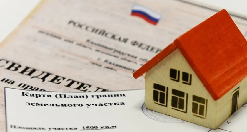 Половина проверенных сельхозземель Приморья заросла сорняками: Россельхознадзор выявил нарушения на 1300 гектарах