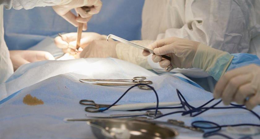 В Приморье 14 клиник отказались от абортов, пока 33 тысячи студенток готовят к роли «будущих мам»