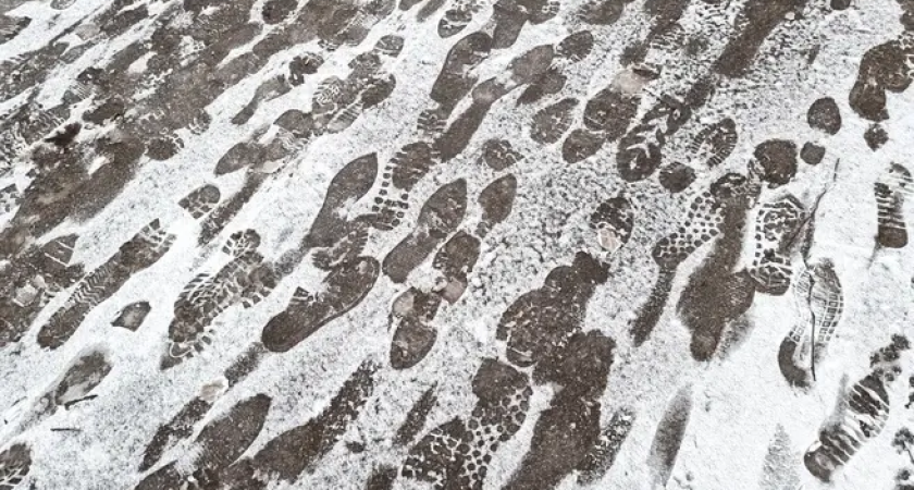 9000 км сквозь боль: пара из Москвы на пути во Владивосток получила первую травму спустя месяц похода