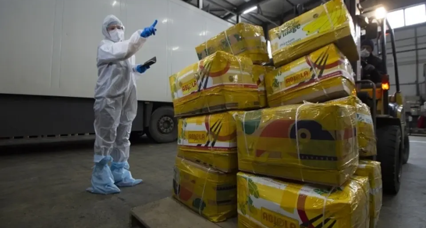 «Рыбные завитки» под замком: 12,6 тонны корейских деликатесов застряли во Владивостоке из-за одной ошибки