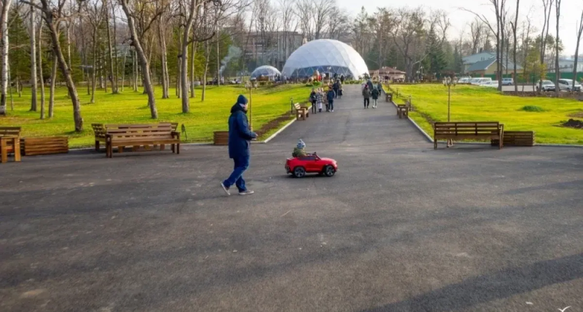 Royal Park во Владивостоке может стать закрытым санаторием для таможенников