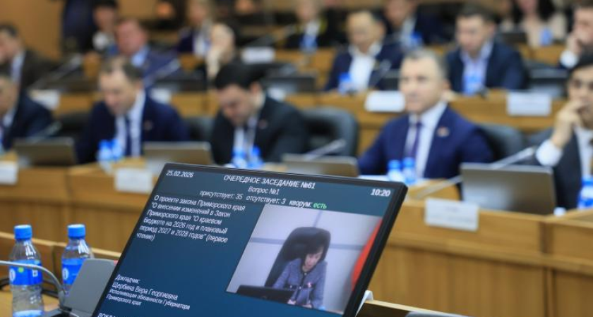 Приморье урезало расходы на 2,9 млрд: что попало под сокращение