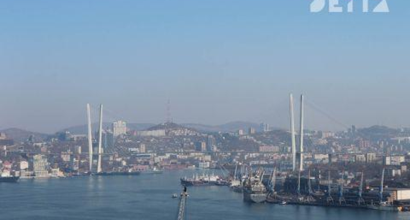 Приморье сохранило налоговые каникулы для 35 видов бизнеса