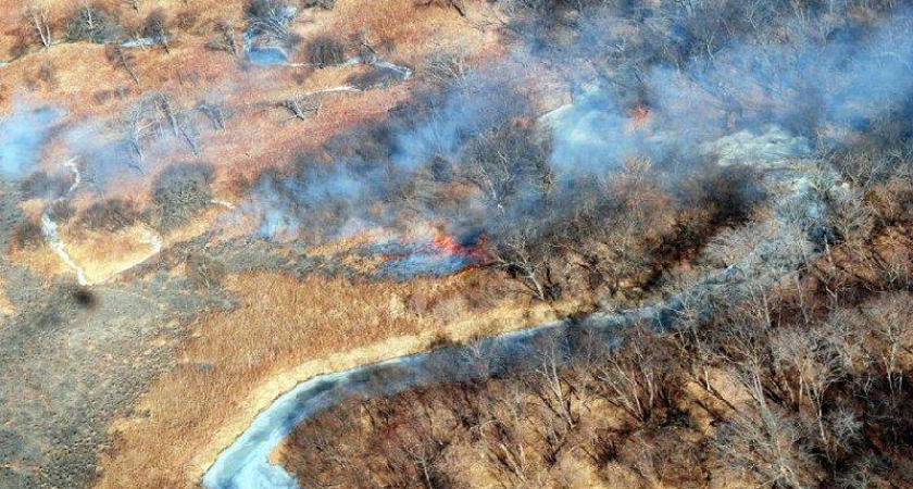 Земля леопарда готовится к огненной угрозе из-за аномального потепления